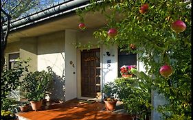 B&B Oasi Di Venezia